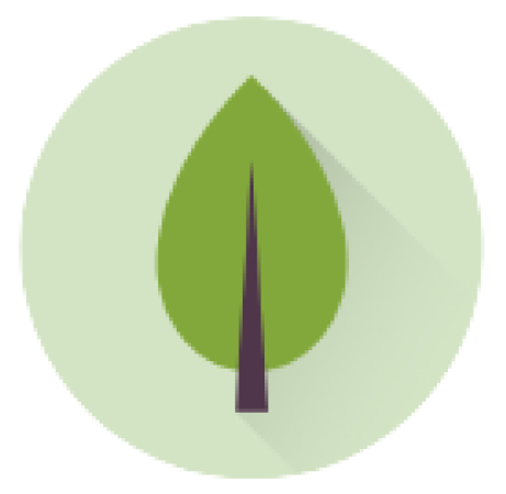 icon1
